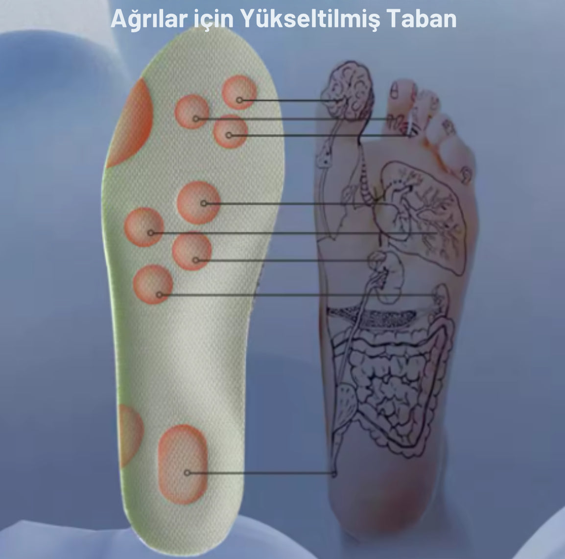 Vstep Foren Ortopedik Kadın Ayakkabıları (VL-K001)